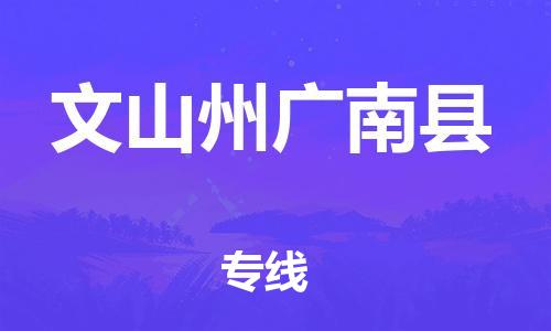 廣州到文山州廣南縣物流專線-廣州物流到文山州廣南縣-（無盲點(diǎn)-派送）